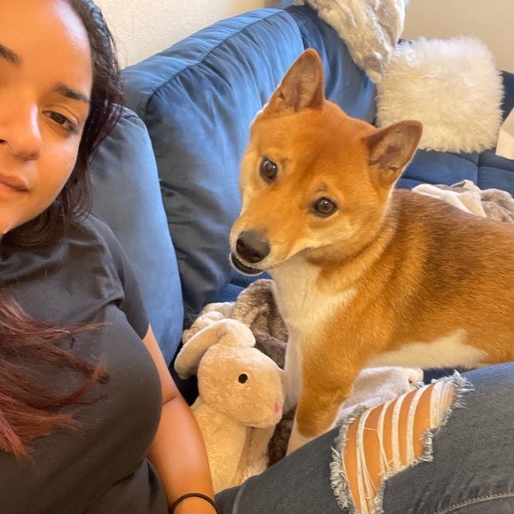 Meet your Posher, Princess - Picture 2 of 2